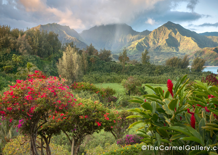 Kauai, the Garden Isle, Hanalei, Kauai flowers garden