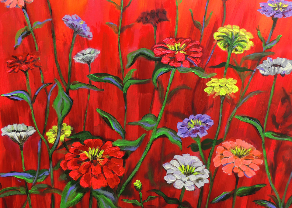 Original Print of IREDescent Zinnias on a Red Background