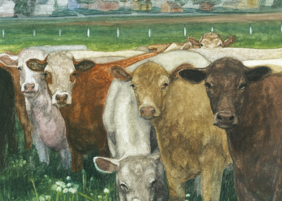 Cow Not Interested Art | Blissful Bonita Art Studio & Gallery