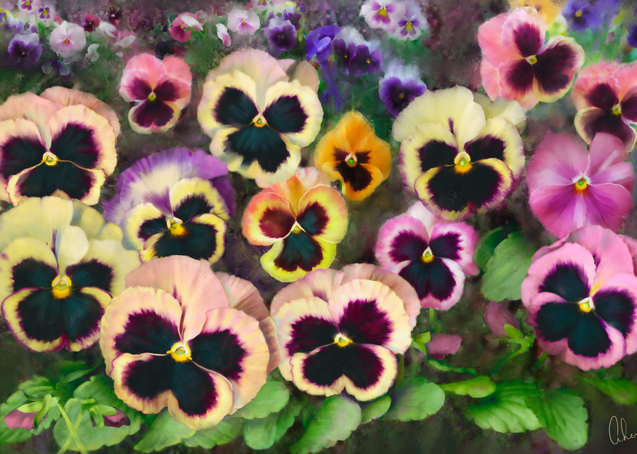 Pansy Field, wall art. A print of an original painting by the artist, Mary Ahern.