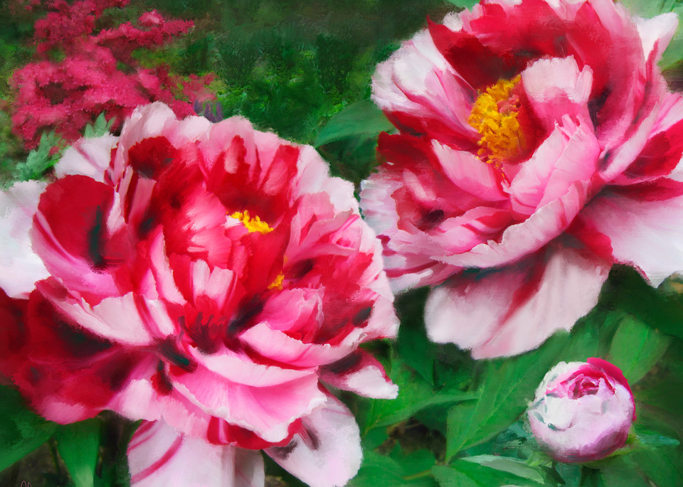 Fire Flame Peonies, wall art. A print of an original painting by the artist, Mary Ahern.