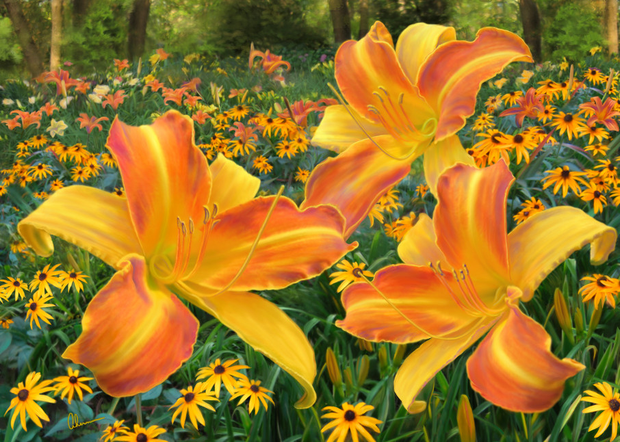 Frans Hals Daylilies and Rudbeckia, wall art. A print of an original painting by the artist, Mary Ahern.