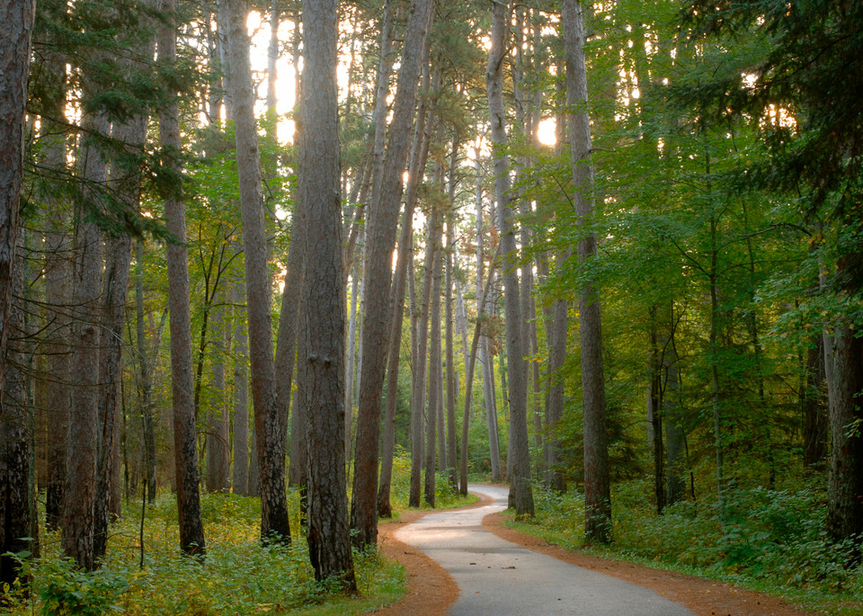 Wilderness Drive in Itasca State Park