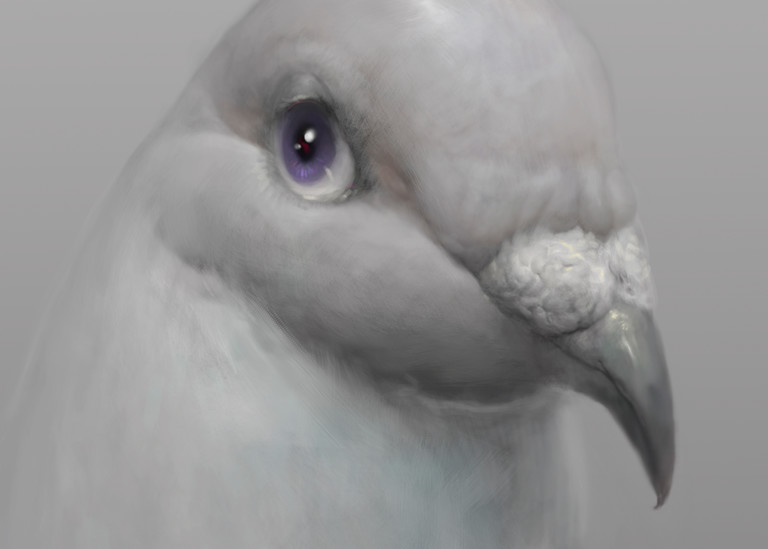 Burton Gray’s “PETER,” painting of a simple gray pigeon.