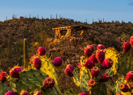 Prickly Pear Lookout