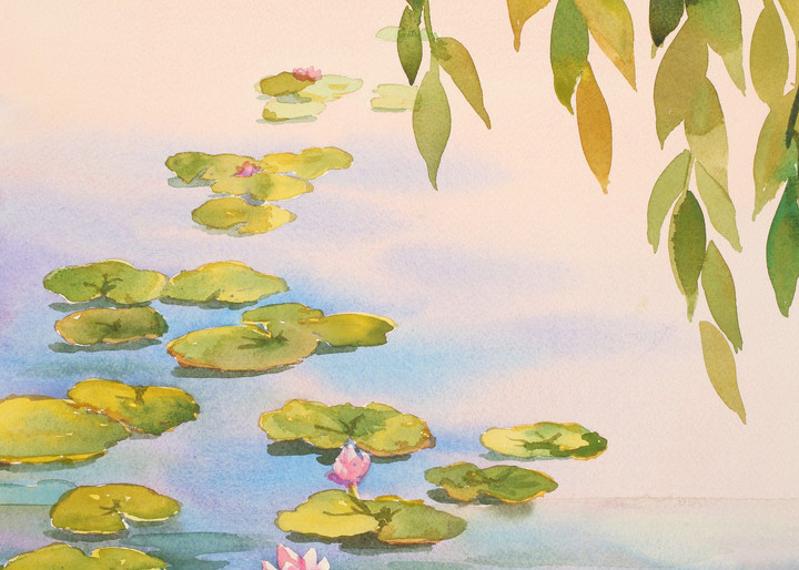 Serene Lily Pond | Zen Landscapes | Gordon Meggison IV