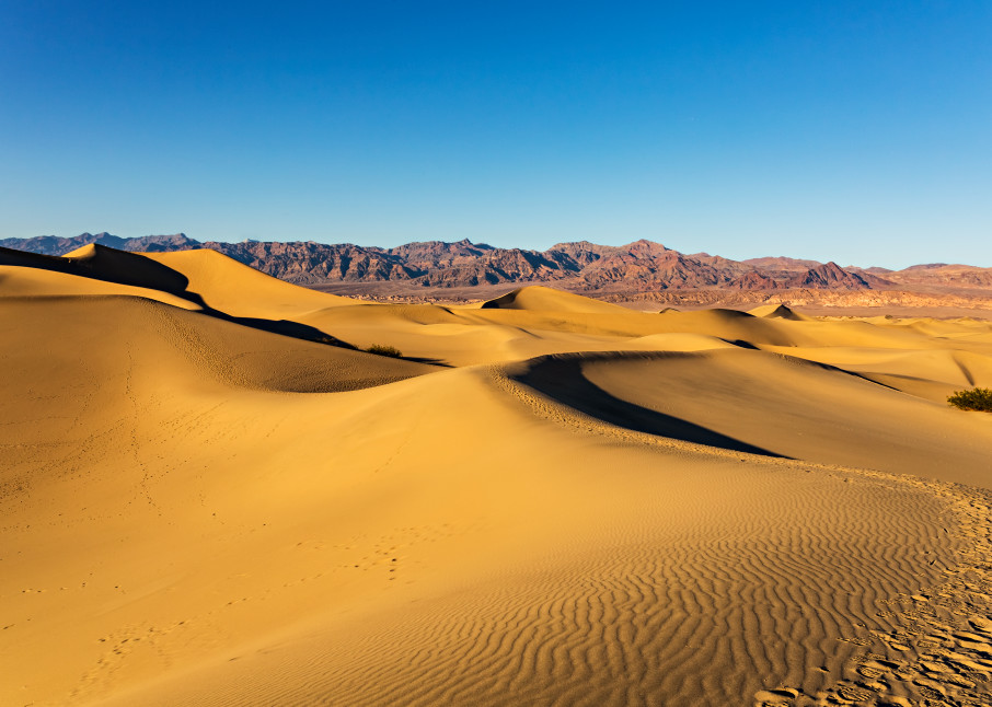 Golden Sand Dunes In Death Valley Photograph For Sale As Fine Art