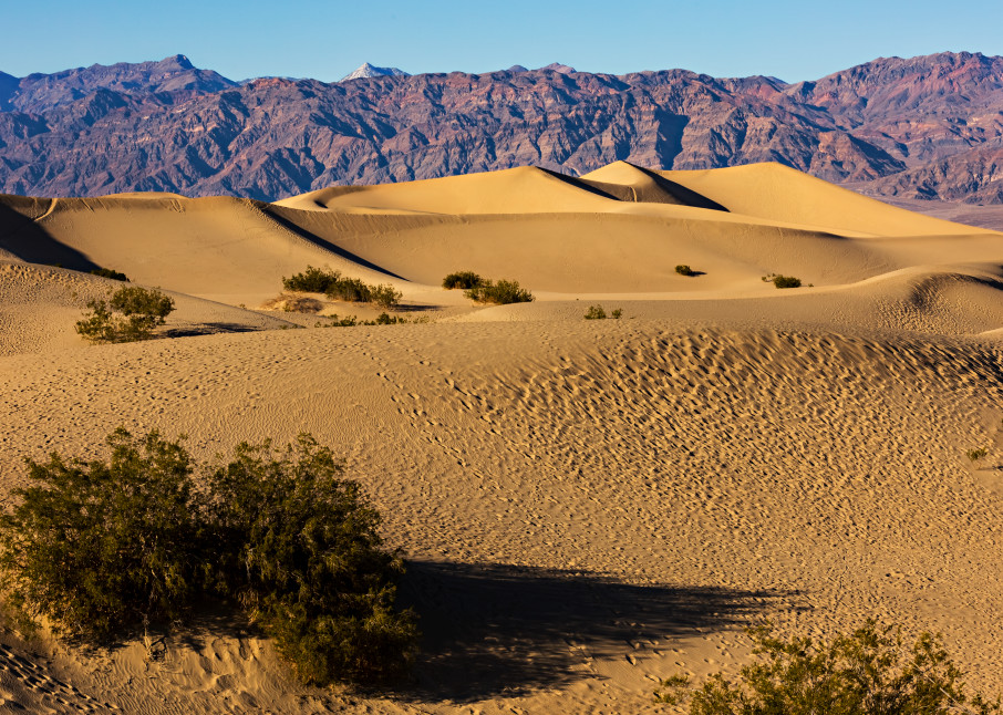 Death Valley Sand Dunes Photograph For Sale As Fine Art