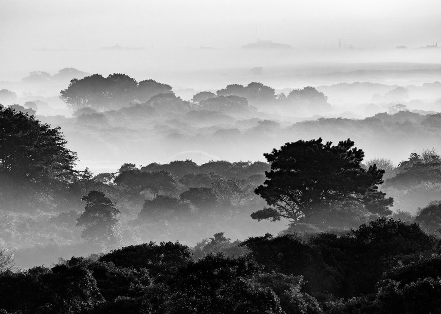 "Middle Moors Foggy Sunrise - BW" Black and White Nantucket 
Landscape Photography