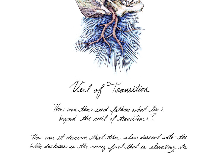Veil of Transition - Drawing with Text | Art & Paintings by Zak D. Parsons