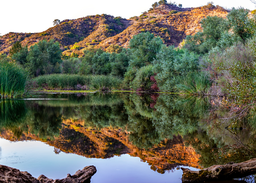 Century Lake Reflection Panorama Photograph For Sale As Fine Art
