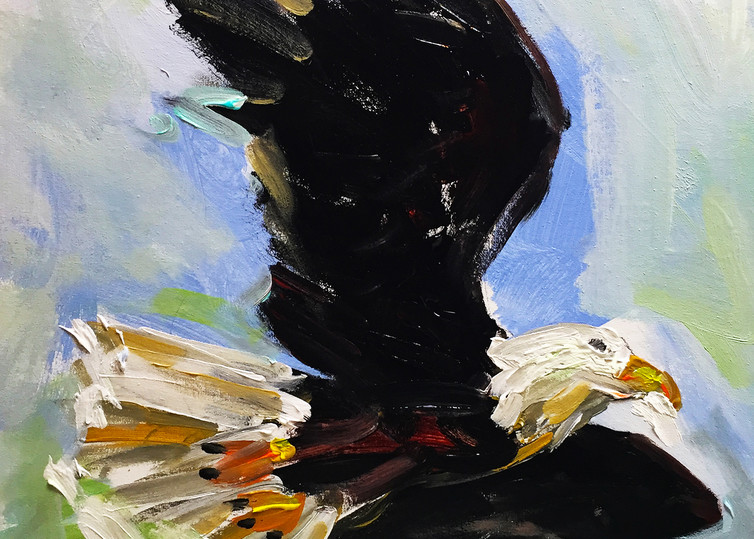 Bald Eagle 300 Art | Charles Wallis