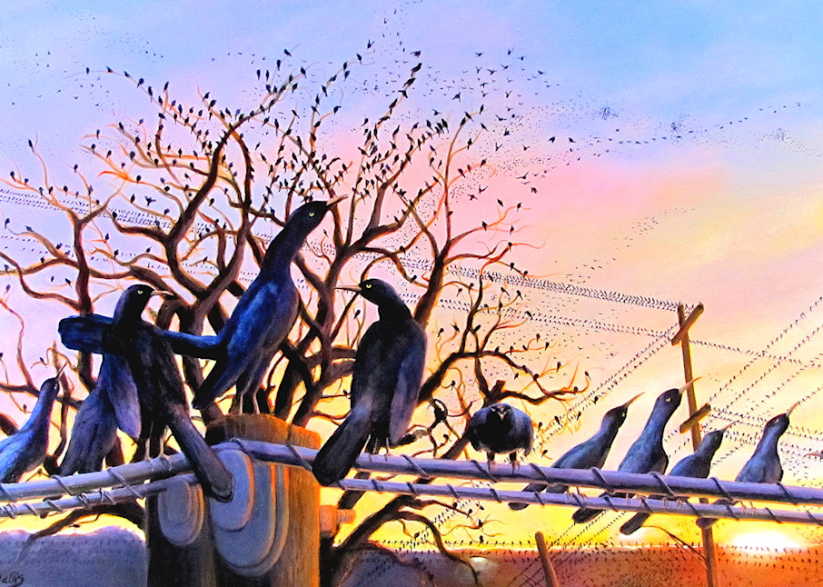 The Grackles Are Coming  Art | Charles Wallis