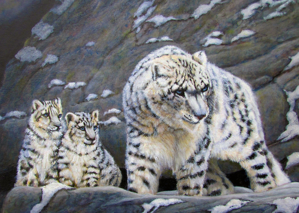 Snow Leopard And Cubs Art | Charles Wallis