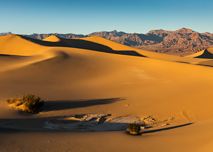 Shadows Over Mesquite Flat Sand Dunes Photograph For Sale As Fine Art
