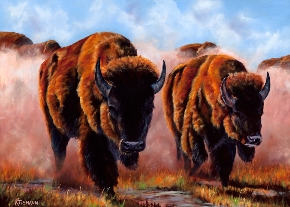 Buffalo Dust, fine art print of buffaloes kicking up dust