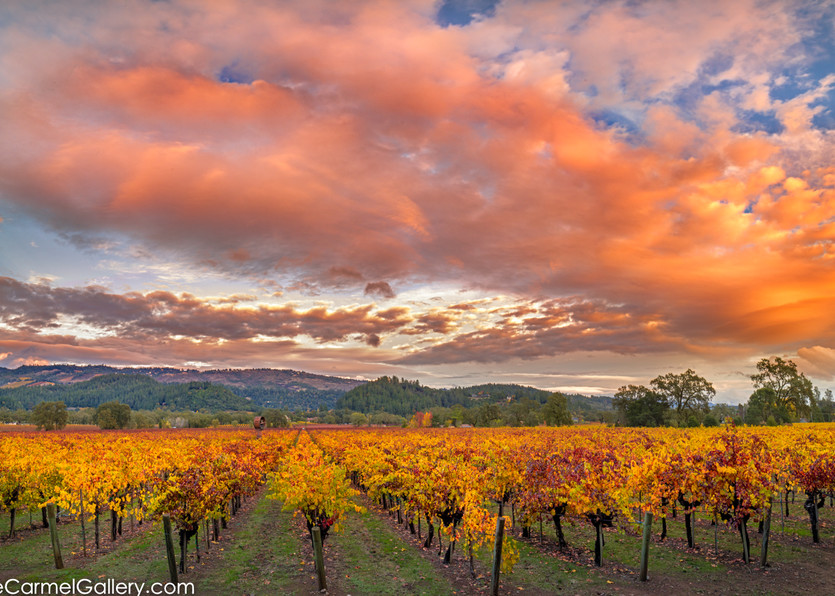 Up Valley Sunset Art | The Carmel Gallery