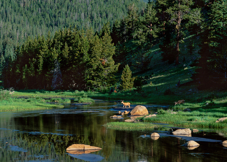 Memorable images of Colorado's Rocky Mountains 
