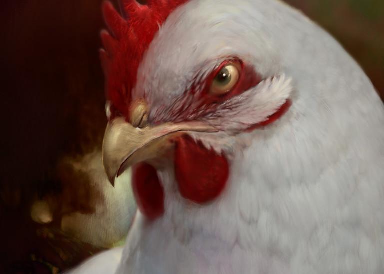 Fine Art Prints of Artist Burton Gray's painting of a chicken.
