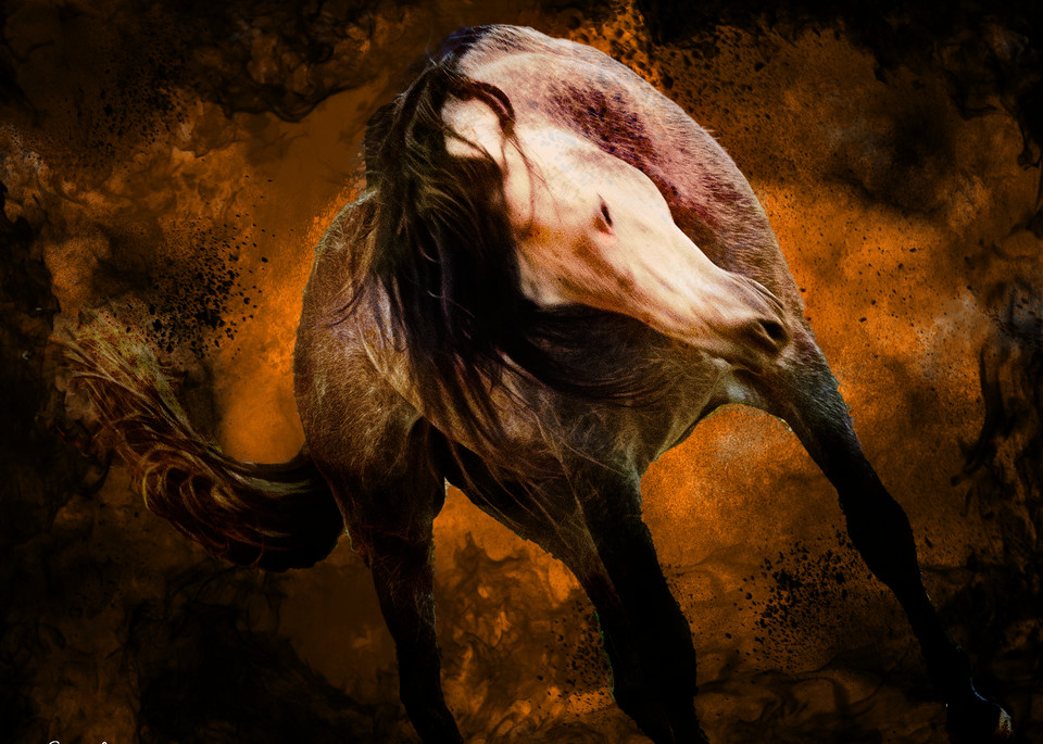 Equine Inferno 2 A Art | Images2Impact