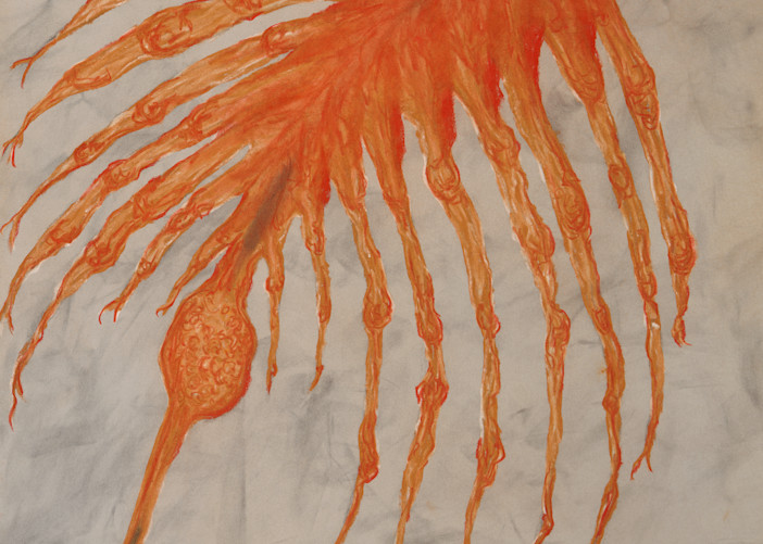 Artemia Art | Moxie Color LLC
