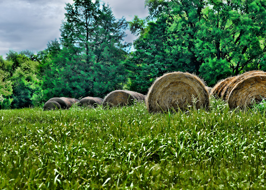 Rural Hay Bales