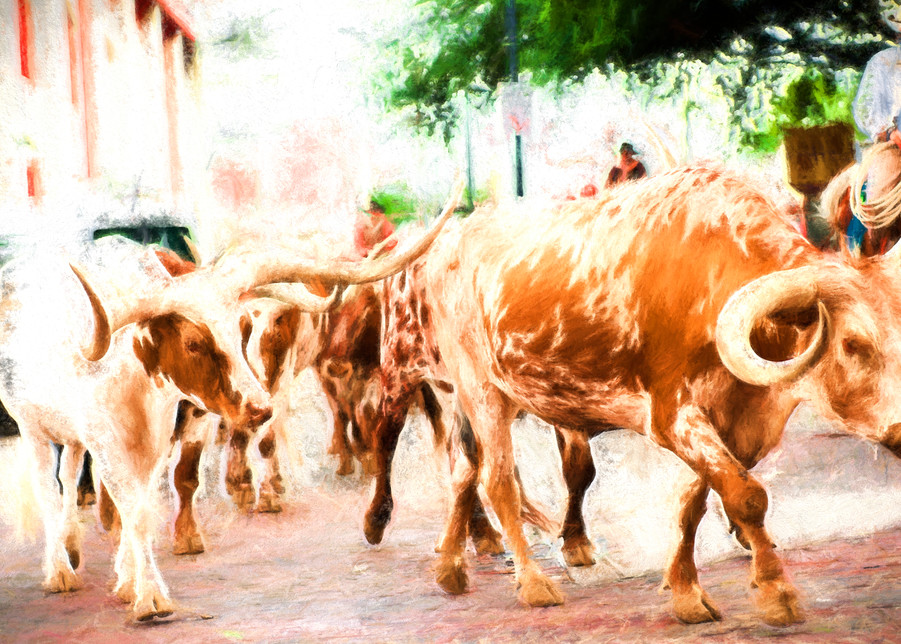 The Herd on the Move at Noon in the Stockyards Fine Art