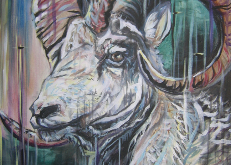 Big Horn Sheep Art | Keller Rempp Art