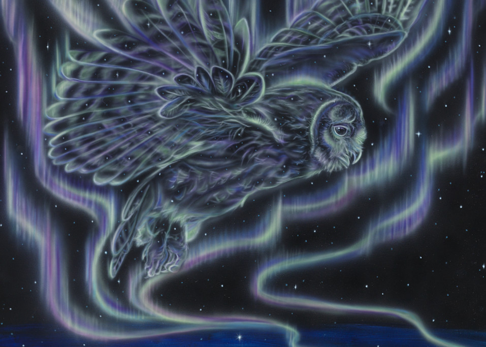 Sky Dance   Owl Art | Keller Rempp Art