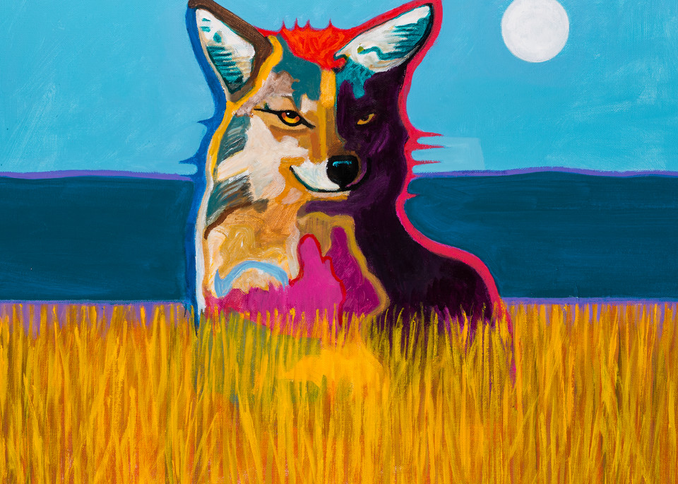 Coyote in a Field | John Nieto Art Reproduction