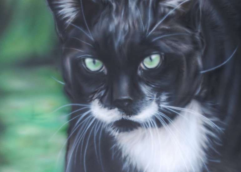Pet Portrait by Amy Keller-Rempp - Cat