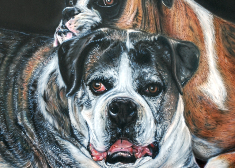 Pet Portrait by Amy Keller-Rempp - dogs - boxers