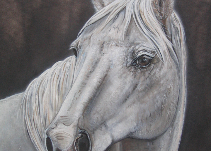 Pet Portrait by Amy Keller-Rempp, Horse 