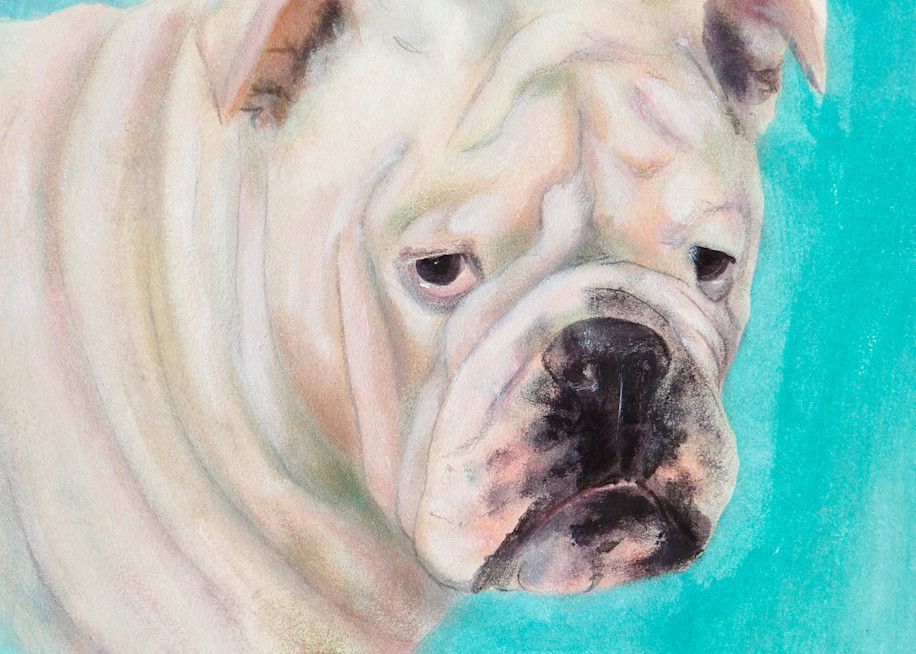 White Bulldog -  Fine Art Prints on Canvas, Paper, Metal & More by Irina Malkmus