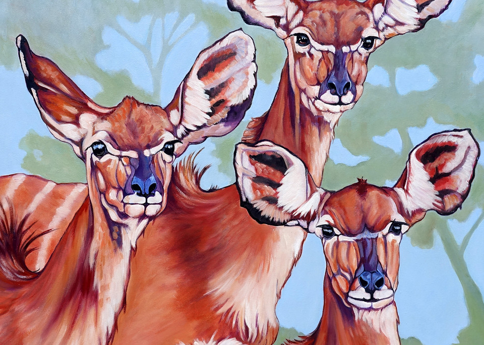 antelope, deer, african wildlife