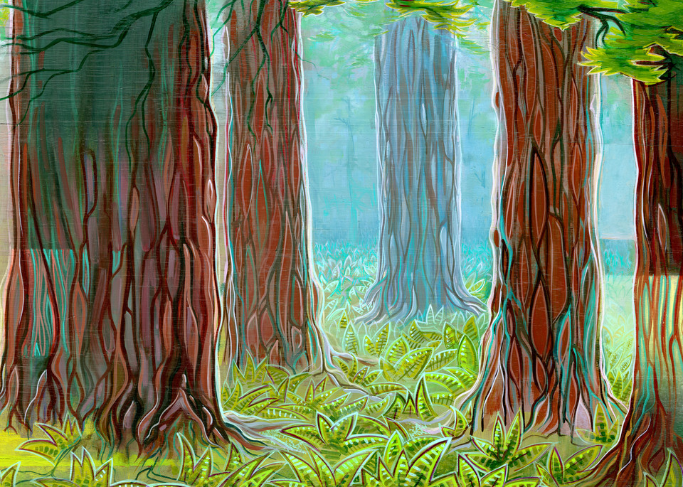 Redwoods Painting by Spencer Reynolds