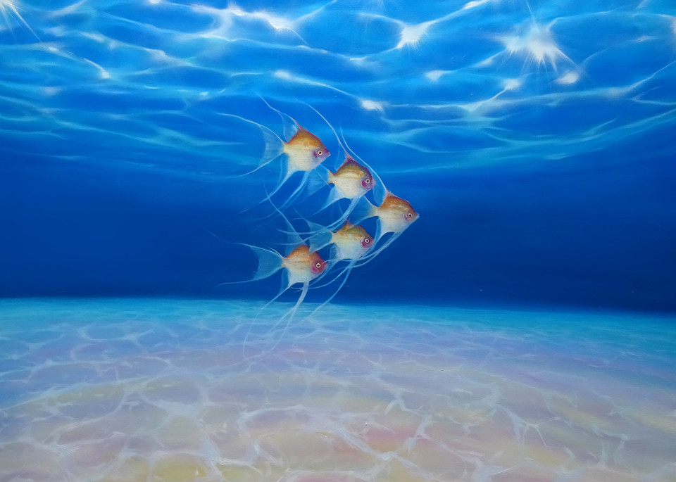 Angels In Formation   An Underwater Seacape Art | Gill Bustamante Artist