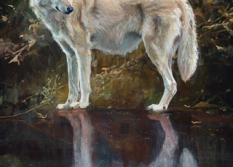 Black Ice Wolf Art | Lesa Delisi, Fine Arts