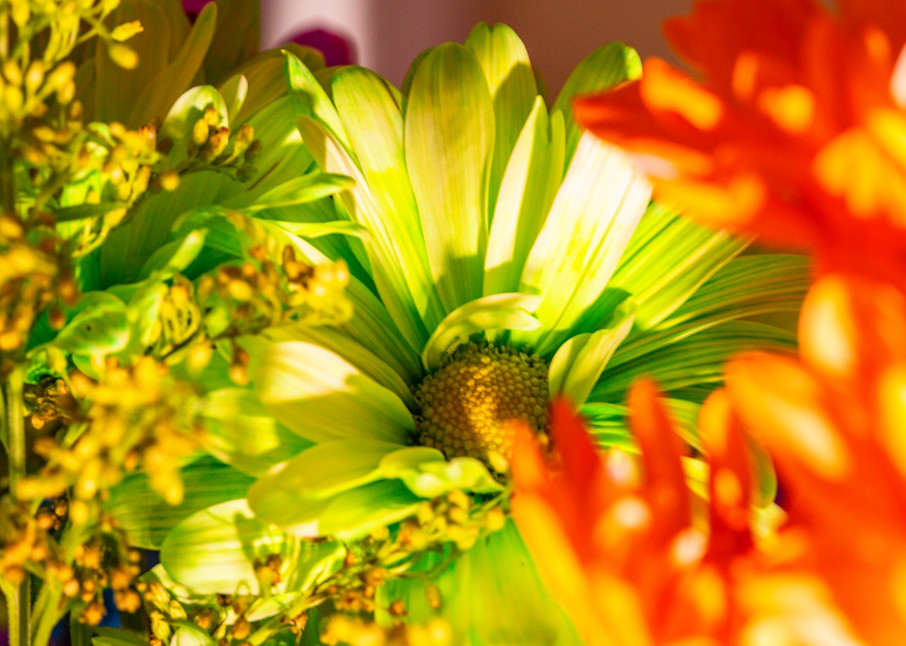 Colorful Bouquet Art | Peter J Schnabel Photography LLC