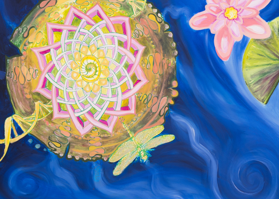 DNA Water Lily Art for Sale