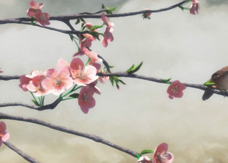 Apple Blossom | Cynthia Decker