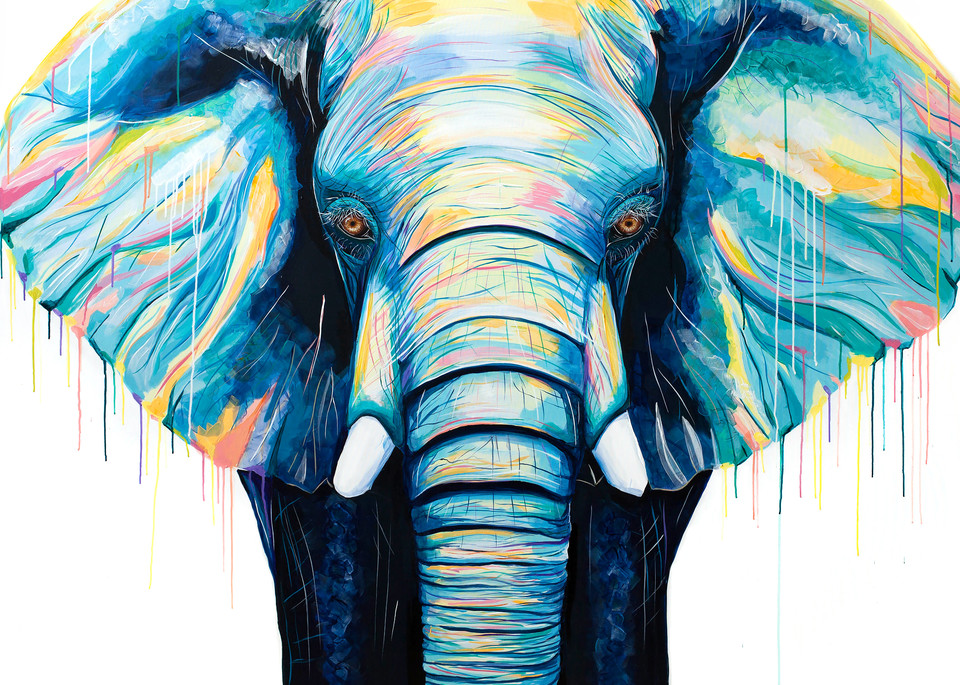 Colorful Elephant Print 