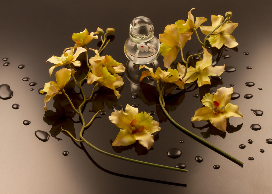 Fine Art Photograph of Flowers with Drops on Black Plexi by Michael Pucciarelli