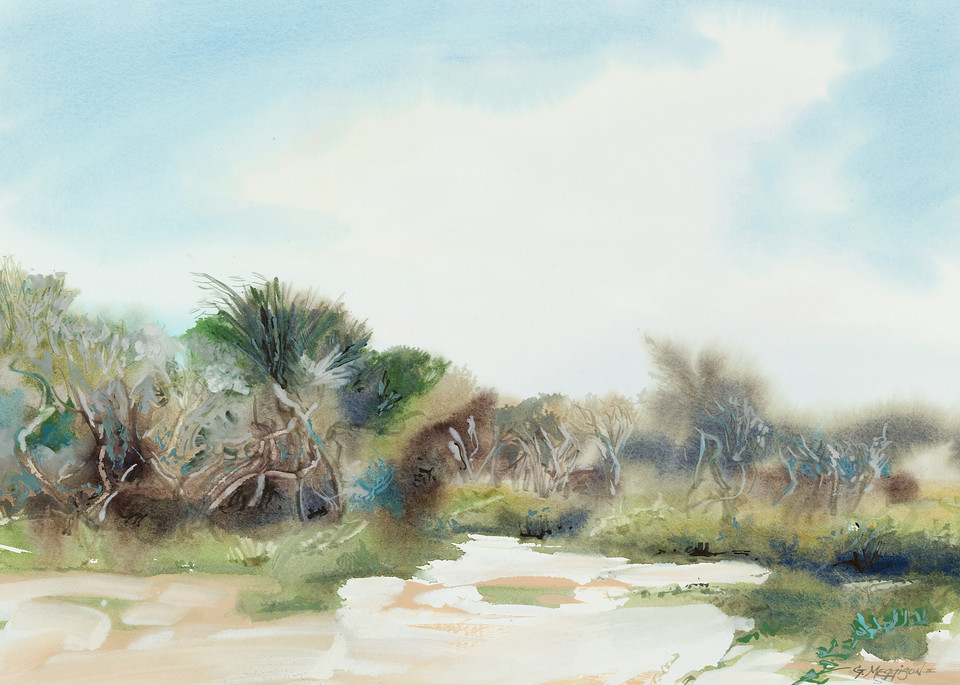 Matanzas Dunes | Watercolor Landscapes | Gordon Meggison IV