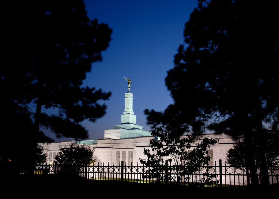 Raleigh Temple - Night Trees