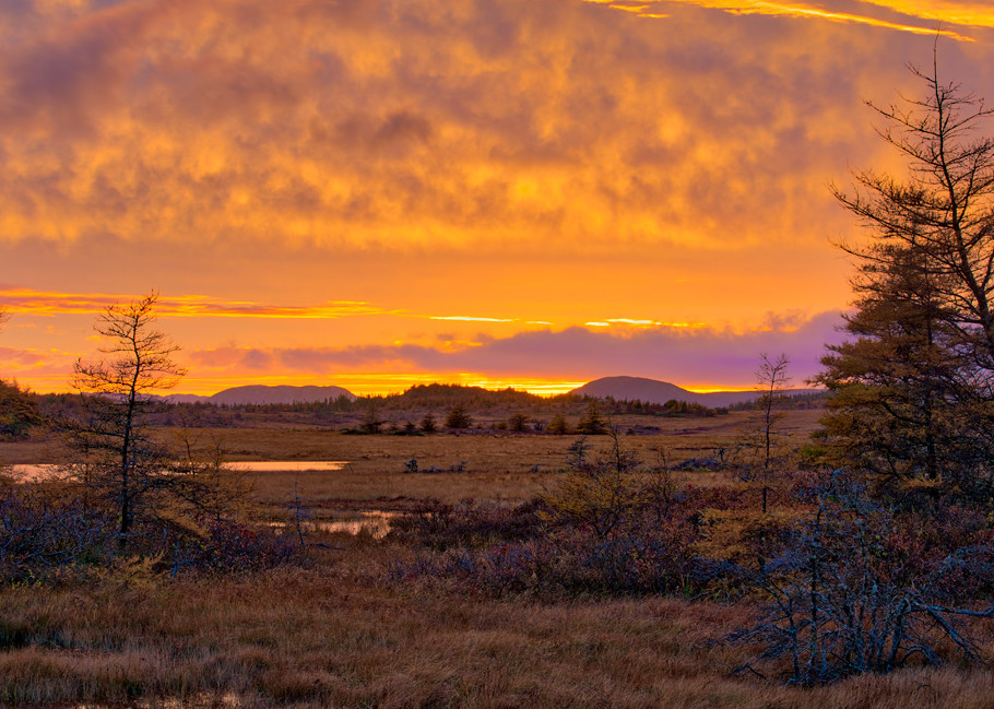 Sunset on the Bog - Burin Peninsula