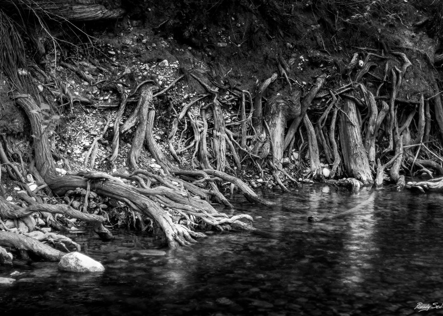 Rooted In The Frio Art | Randy Sedlacek Photography, LLC