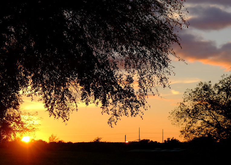 Beautiful Texas Sunset Behind Tree