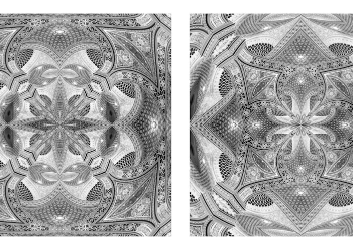 An Infinity of Details (diptych)