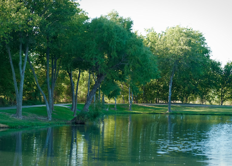 Pond In Roanoke Park 10 Art | Drone Video TX
